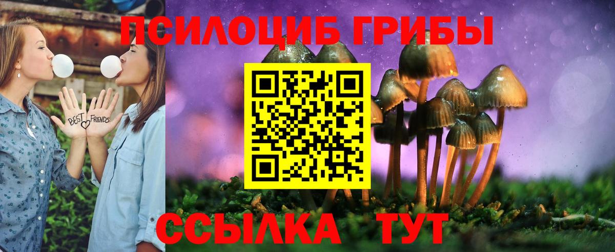 Псилоцибиновые грибы Psilocybe  Псилоцибиновые грибы прущие грибы  Вход с VPN  купить наркотик  Бахчисарай 
