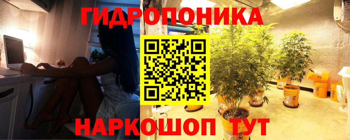 Шишки марихуана тримм  Вход с VPN  Каннабис Bruce Banner  Шишки марихуана тримм  Бахчисарай 